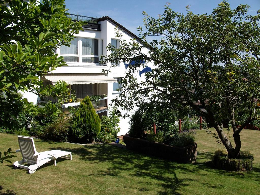 Haus Delphin Ξενοδοχείο Bad Wildungen Εξωτερικό φωτογραφία